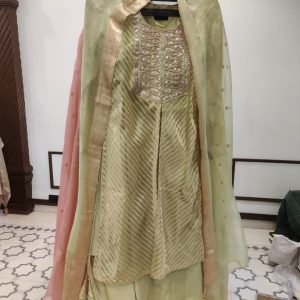 Chanderi Zari Stripe - 10