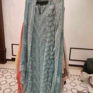 DNO151 Georgette Lucknowi Discharge Print - 151