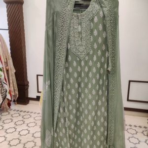 DNO152 Georgette Lucknowi Discharge Print - 152