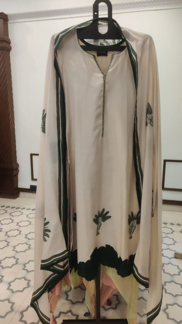 Muslin Chickoo Applique -187