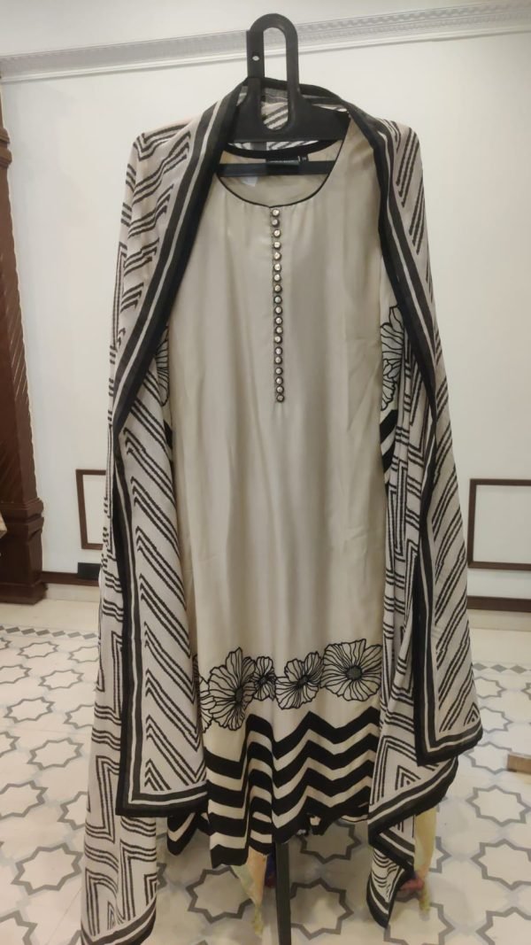 Muslin Chickoo Applique - 188