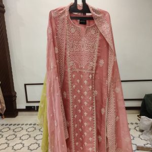 DNO58 Organza Lucknowi Embroidery - 58