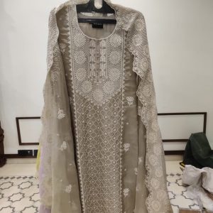 DNO59 Organza Lucknowi Embroidery - 59