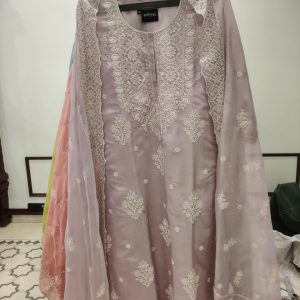 DNO60 Organza Lucknowi Embroidery - 60