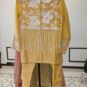 WhatsApp Image 2024-01-23 at 3.39.42 PM (1) Muslin Parsigara Work Co-Set 166